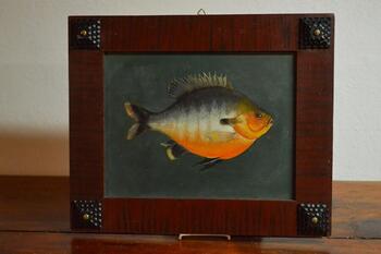 Sunfish Oil Painting